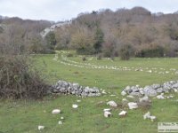 2021-12-04 Monte Gennaro da Palombara 084